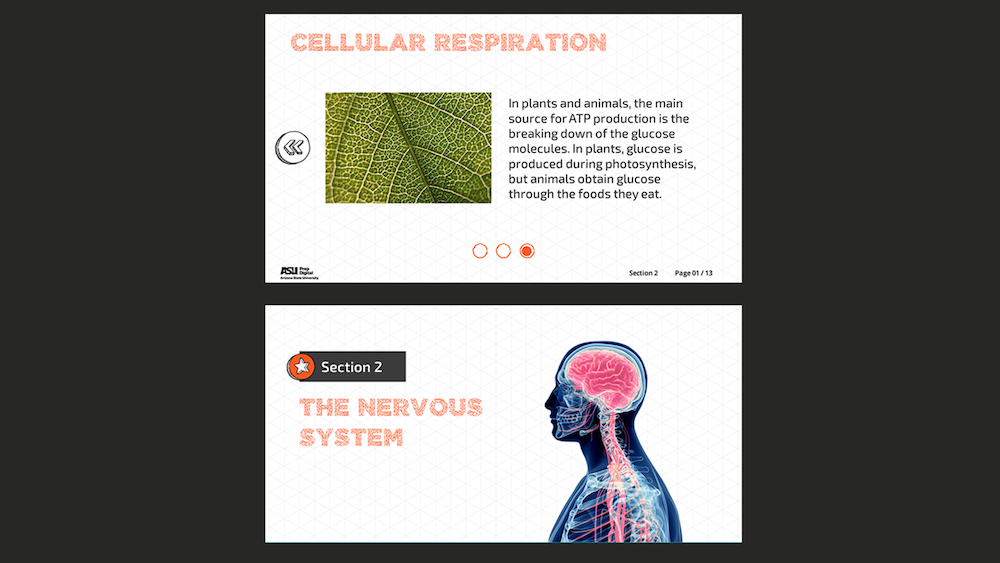 Biology, chemistry and physical science
